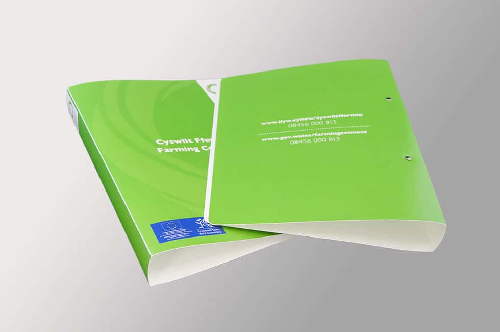 Pagna A4 2-Ring Binder - 25mm Polypropylene Ring Binder In Green 35mm Spine