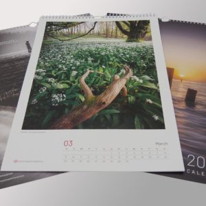 A3 calendar